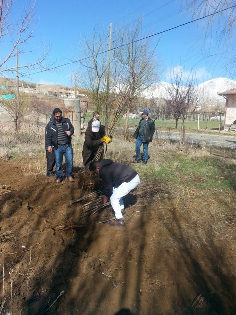 Ekecik Yol Boyunda 150 Yakın Fidan Dikildi