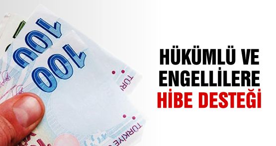 Engelli ve eski hükümlülere Yönelik proje desteği