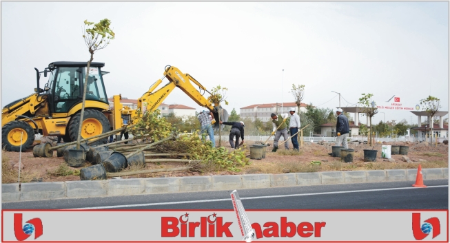 Başkan Yazgı; Aksaray’ımızı Yeniden Yeşil Aksaray Yapacağız’