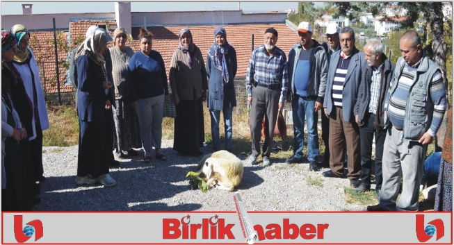 Kızları EKPSS’yi Kazanarak Memur Olan Aile;  TRSM’de Kurban Kesti