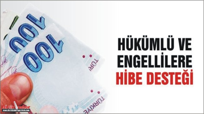 Engelli ve Eski Hükümlülere İş Kurma Desteği