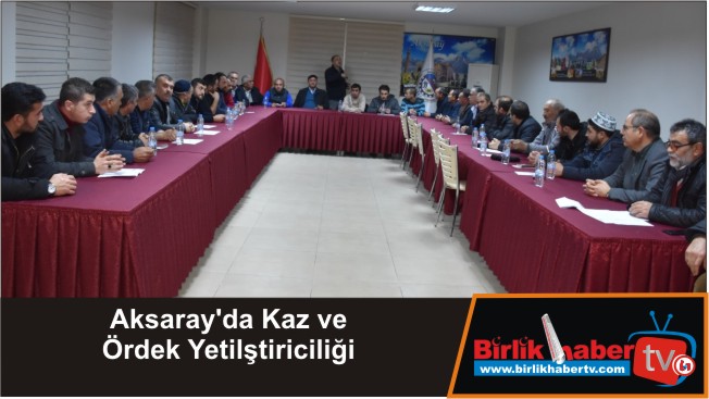 Aksaray’da Kaz ve Ördek Yetilştiriciliği