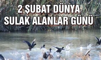 2 Şubat Dünya Sulak Alanlar Günü