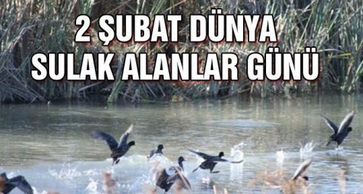 2 Şubat Dünya Sulak Alanlar Günü