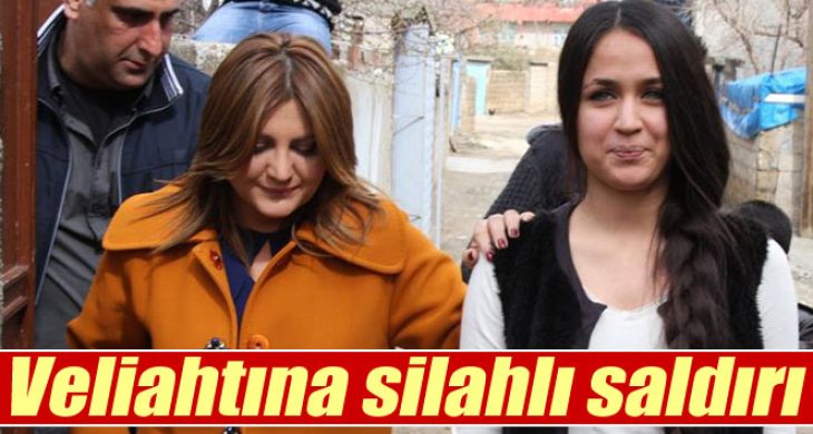 Sibel Can’ın veliahtına silahlı saldırı