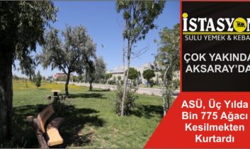 ASÜ, Üç Yılda Bin 775 Ağacı Kesilmekten Kurtardı