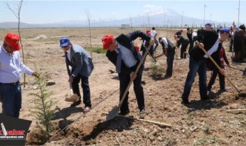 ASÜ’de Kutlu Doğuma Özel Fidan Dikme Çalışması