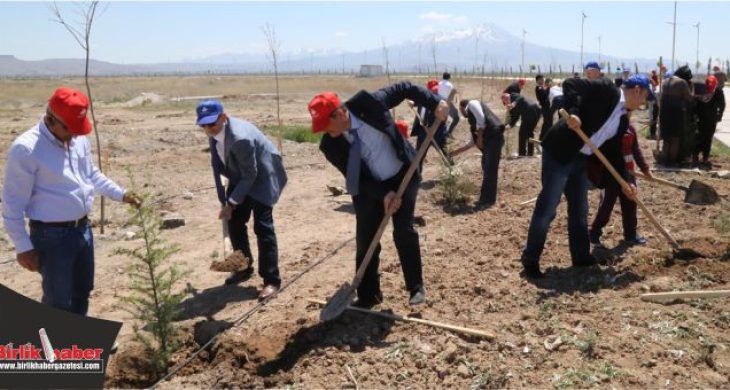 ASÜ’de Kutlu Doğuma Özel Fidan Dikme Çalışması