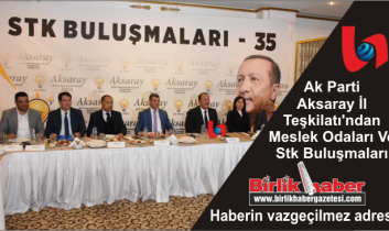 Ak Parti Aksaray İl Teşkilatı’ndan Meslek Odaları Ve Stk Buluşmaları