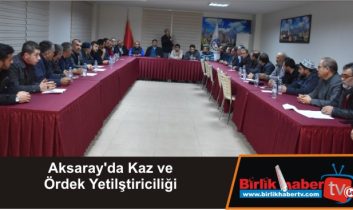 Aksaray’da Kaz ve Ördek Yetilştiriciliği