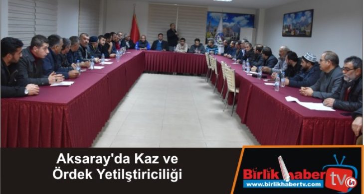 Aksaray’da Kaz ve Ördek Yetilştiriciliği