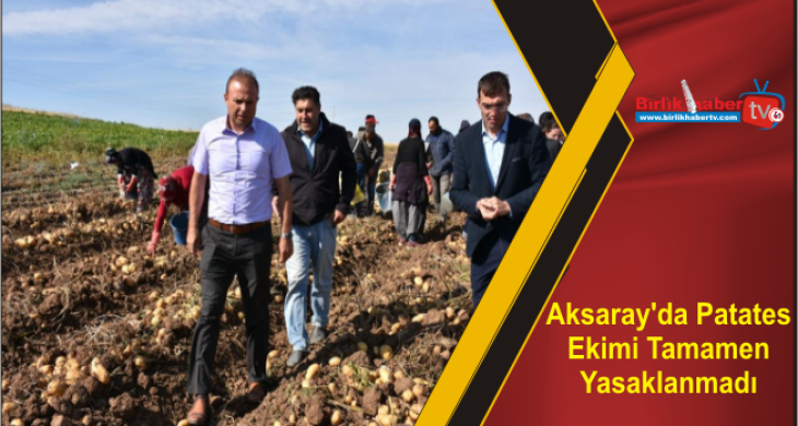 Aksaray’da Patates Ekimi Tamamen Yasaklanmadı