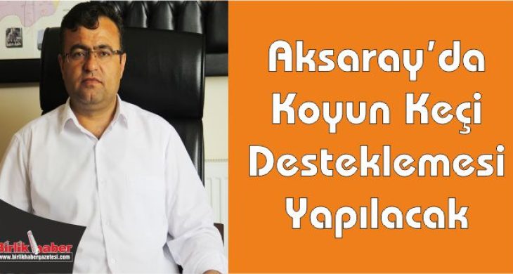 Aksaray’da Koyun Keçi Desteklemesi Yapılacak