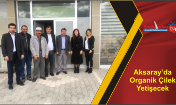 Aksaray’da Organik Çilek Yetişecek