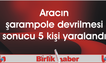 Aracın şarampole devrilmesi sonucu 5 kişi yaralandı