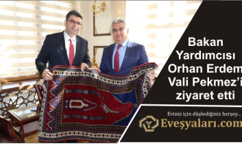 Bakan Yardımcısı Orhan Erdem Vali Pekmez’i ziyaret etti