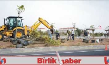 Başkan Yazgı; Aksaray’ımızı Yeniden Yeşil Aksaray Yapacağız’