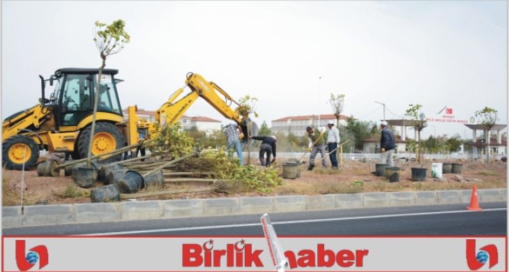 Başkan Yazgı; Aksaray’ımızı Yeniden Yeşil Aksaray Yapacağız’