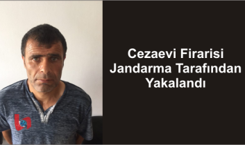 Cezaevi Firarisi Jandarma Tarafından Yakalandı