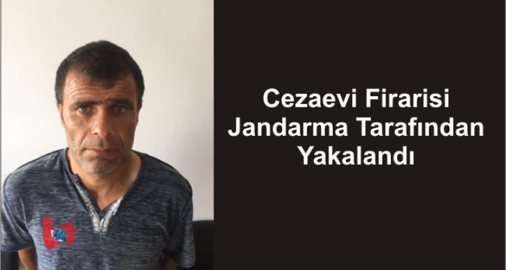 Cezaevi Firarisi Jandarma Tarafından Yakalandı