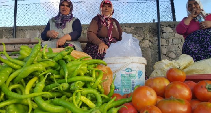 Helvadere’nin Kadınları Aile Bütçelerine Katkı Sağlıyor