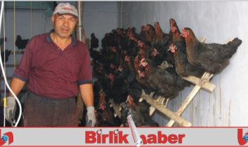 Hobi olarak başladı, tavuk çiftliği kurdu