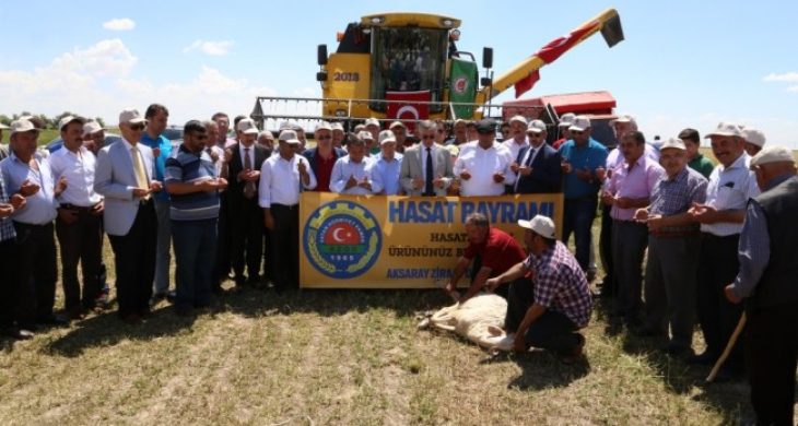 Aksaray’da Hasat Bayramı