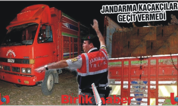 Jandarma Kaçakçılara göz açtırmıyor