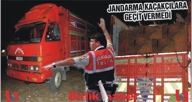 Jandarma Kaçakçılara göz açtırmıyor