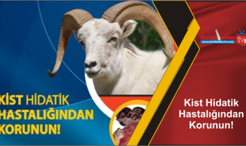 Kist Hidatik Hastalığından Korunun!