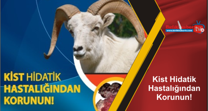 Kist Hidatik Hastalığından Korunun!