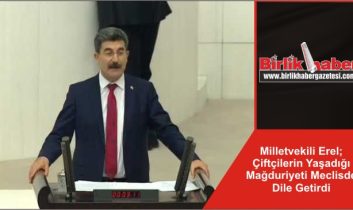 Milletvekili Erel; Çiftçilerin Yaşadığı Mağduriyeti Meclisde Dile Getirdi