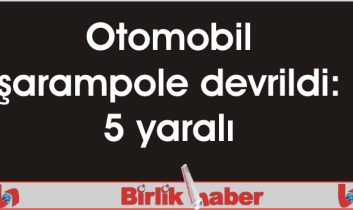 Otomobil şarampole devrildi: 5 yaralı