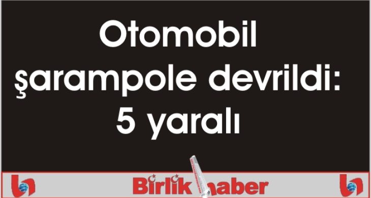 Otomobil şarampole devrildi: 5 yaralı