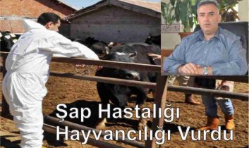 Şap Hastalığı Hayvancılığı Vurdu