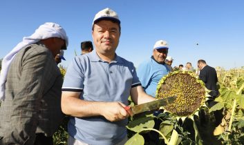 Türkiye’nin En Lezzetli Ay Çekirdeği, Aksaray’ın Bereketli Topraklarından