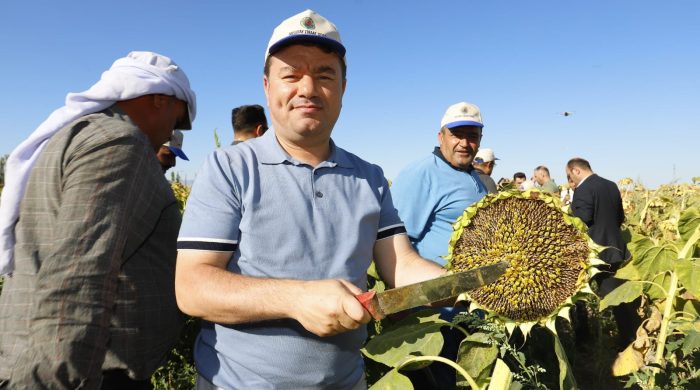 Türkiye’nin En Lezzetli Ay Çekirdeği, Aksaray’ın Bereketli Topraklarından