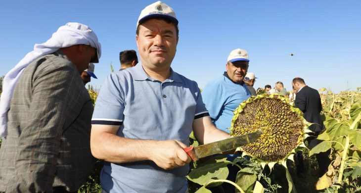 Türkiye’nin En Lezzetli Ay Çekirdeği, Aksaray’ın Bereketli Topraklarından