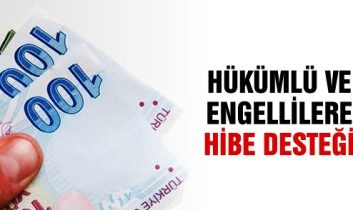 Engelli ve eski hükümlülere Yönelik proje desteği