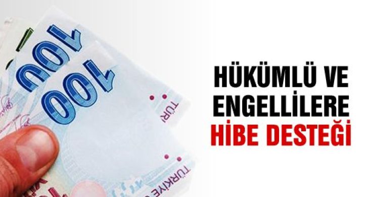 Engelli ve eski hükümlülere Yönelik proje desteği