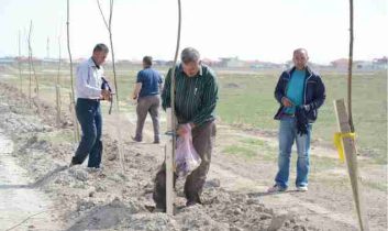 Yenikent’te 6 Bin Fidan Toprakla Buluşturuldu