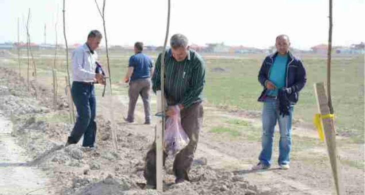 Yenikent’te 6 Bin Fidan Toprakla Buluşturuldu