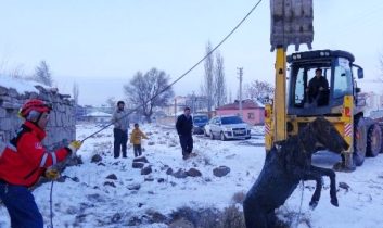 Foseptik Çukuruna Düşen Tayı Kurtarma Operasyonu