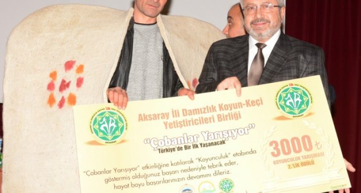 Aksaray’da Çobanlar Kıyasıya Yarıştı