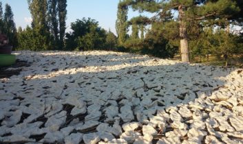 Çorbalık Değil Çerezlik Tarhana