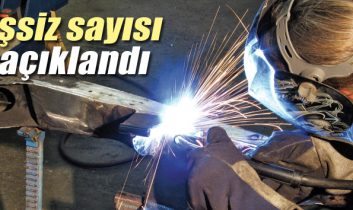 İstihdam ve işsiz sayısı arttı