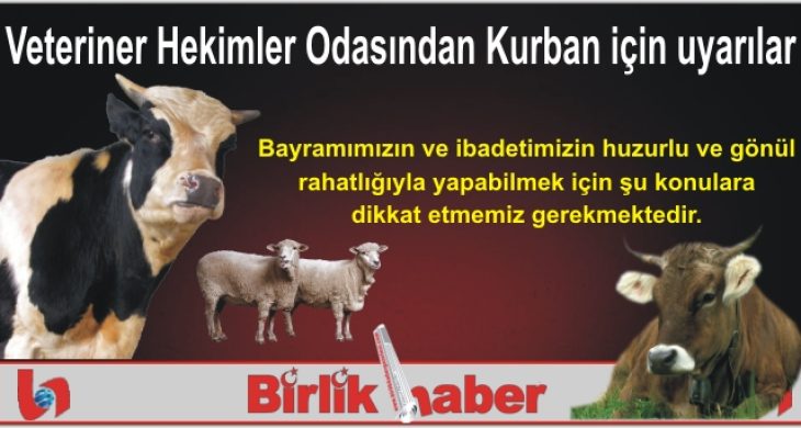 Veteriner Hekimler Odasından Kurban için uyarılar